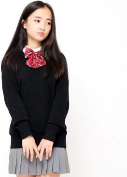 セーター Vネック 長袖 無地 スクールセーター 女子 高校生 学生 制服 男女兼用 オフィス 綿 ブラック/L(ブラック, L)