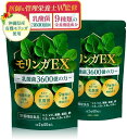 医師&管理栄養士監修 モリンガ 沖縄県産 有機モリンガ 乳酸菌 36億個入り 国産 スーパーフード モリンガサプリ 錠剤 タブレット 1日2粒 60日分 栄養機...