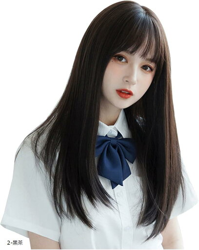 ウィッグ ロング ストレート ウイッグ セミロング 黒髪 黒茶(2-黒茶) ウィッグ ロング ストレート ウイッグ セミロング 黒髪 黒茶(2-黒茶)