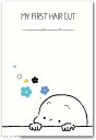 【楽天ランキング1位入賞】ファーストカット アート 胎毛 台紙 記念日 赤ちゃん(ひょっこりブルー)