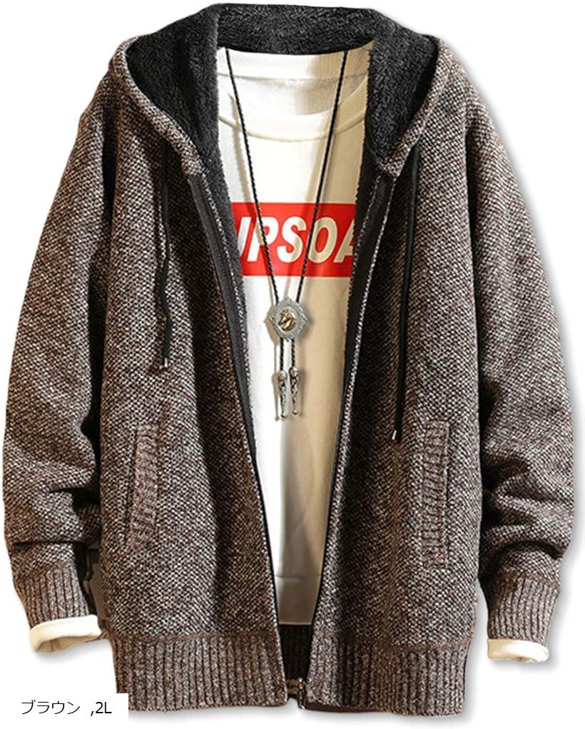 メンズ パーカー アウター(ブラウン, 2L)