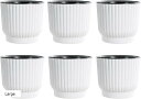 植木鉢 プラスチック 観葉植物 プランター ポット ホワイト 6点セット(ホワイト, Large)