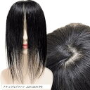 部分ウィッグ 前髪未カット センター分け 真ん中分け ヘアピース かつら 女性 レディース 人毛100% ストレート 分け目 シルク セミロング ナチュラルウィ...