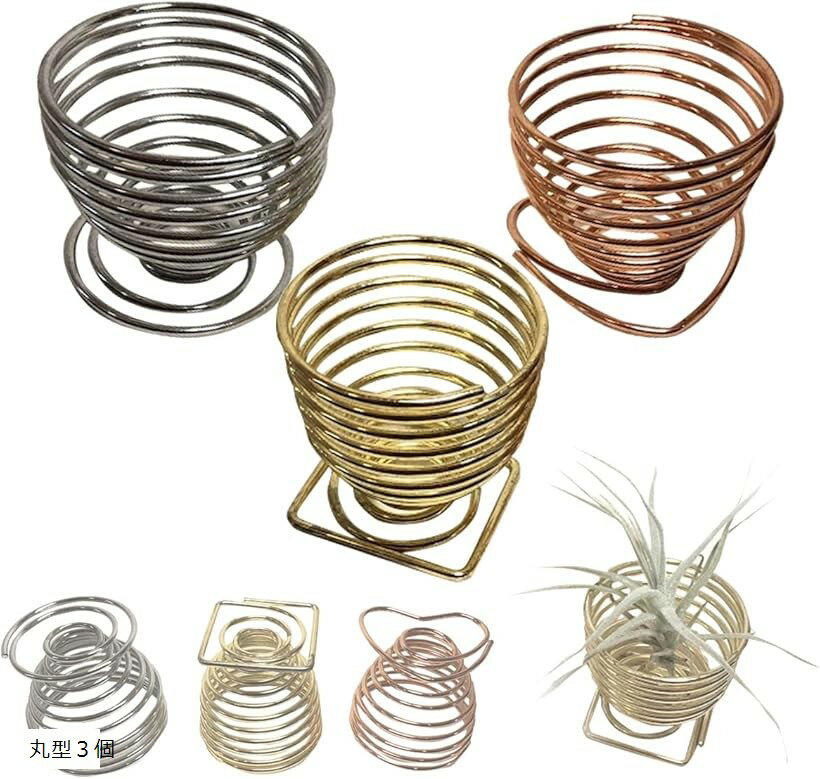 エアプランツ ホルダー スタンド 観葉植物 本物 チランジア コルク へご (丸型3個)