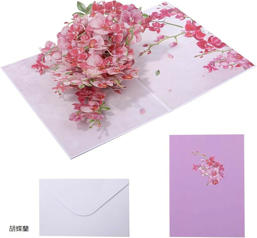 立体 グリーディング カード メッセージカード 飛び出す ポップアップ 3D 手紙 お祝い 寄せ書き 誕生日 記念日 (胡蝶蘭)