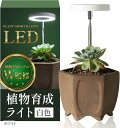 植物育成ライト LED 初心者専用植物育成のプロ2人が監修置くだけで使用可能(ホワイト)
