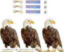 鳥よけ 防鳥 鳥よけグッズ 鳥害対策グッズ 吊り下げ式 鳩よけ カラス撃退 ベランダ 果樹園庭 家庭菜園 鳥撃退 鳥獣(タカ3枚セット(鈴、ホログラムテープ、紐...