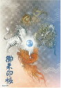 御朱印帳 ご朱印帳 水晶 越前和紙 特殊加工紙 お守り 御守 御城印 納経帳 書き置き 直書き 兼用(風水四神)