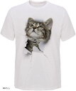 Tシャツ 猫 おもしろ トリックアート カジュアル シンプル ブラックネコ(NO.5, L)