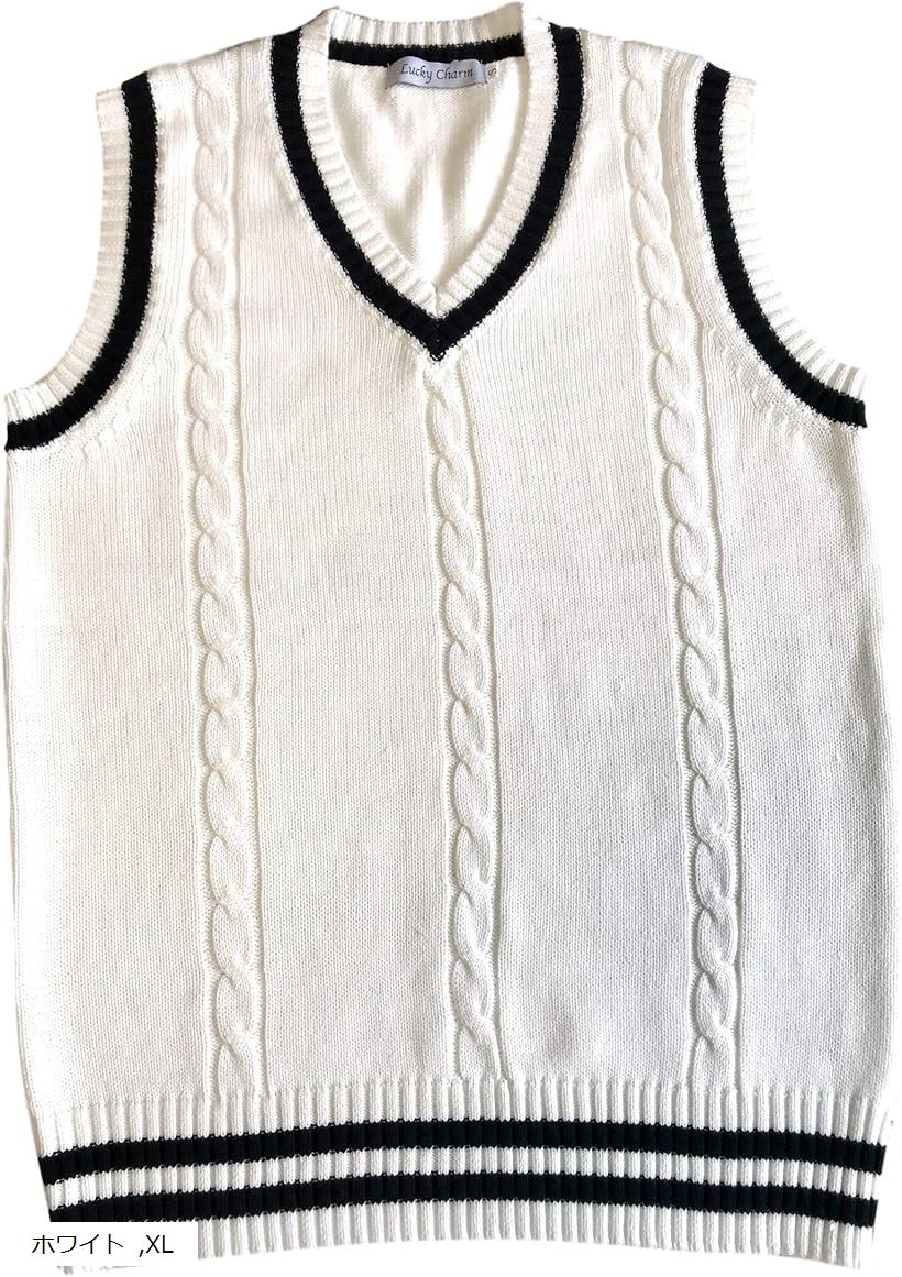 ラッキーチャーム メンズ ベスト ニット フィット ニットベスト ビジネス カジュアル ゴルフ vネック ..