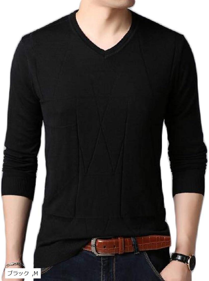 サンクシャ Vネック ニット セーター カットソー 長袖 無地 シンプル カジュアル 秋 冬 メンズ(ブラック, M)