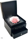 ROSE BOX ソープフラワー 花束 結婚記念日 結婚祝い クリスマス 薔薇 バラ プレゼント ギフト 女性 造花 プロポーズ 誕生日 還暦 母の日 父の日 メッセージカード ショップバッグ付 セット(PINK, 0.5kg)