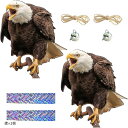 鳩よけ 鳥よけ 鷹 鳥よけグッズ 防鳥 鳥除け 鳩除け カラスよけ カラス除け 対策グッズ(鷹x2個)