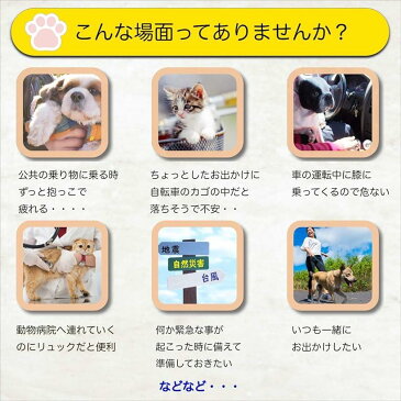 猫 ペットキャリー 犬 リュック ペットリュック 猫キャリーバック バックパック メッシュ窓付き ペットリュック型キャリー 小型犬 小動物 イヌ ネコ 通気性 L,(グレー, L)