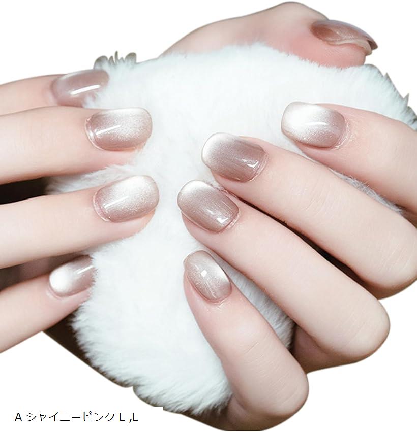 ネイルチップ 手作り 付け爪 収納ケース 10枚入 マグネットネイル オーロラ ミラー (A シャイニーピンク L, L)