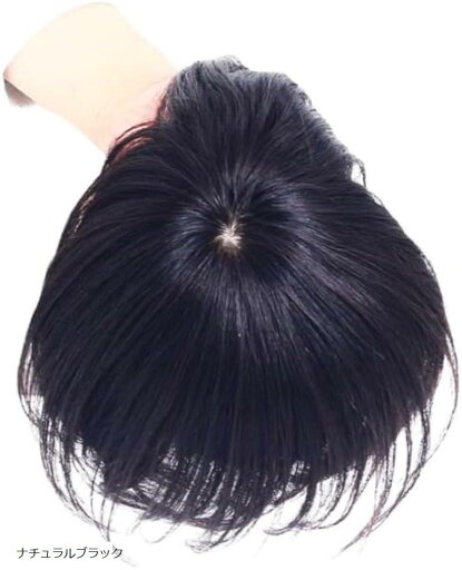 人毛100% 部分ウィッグ ヘアピース 女性 軽量 人工頭皮 分け目自由 ボリュームアップ レディース つむじ 白髪隠し バング 12x12cm 20cm(ナチュラルブラック) 人毛100% 部分ウィッグ ヘアピース 女性 軽量 人工頭皮 分け目自由 ボリュームアップ レディース つむじ 白髪隠し バング 12x12cm 20cm(ナチュラルブラック)