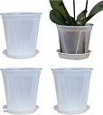 植木鉢 プラスチック 透明 底皿付き 観葉植物 家庭菜園 プランター 4個(クリアー, 6号)(4)