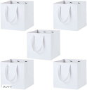 紙袋 厚手 正方形 ギフトバッグ マチ広 ギフト用 20x20x20cm 5枚セット(ホワイト, 20x20x20cm)