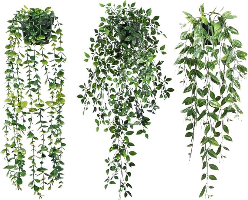 HOTQ フェイクグリーン 壁掛け 観葉植物 吊るす エアープランツ 造花 サボテン 吊り下げ 小物 3点セット (グリーン, 9奥行き x 9幅 x 80高さ...