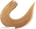 人毛 ring loop hair チップエクステ レミーエクステ カラー ウィッグ エクステンション 50本(27#, 16inch 40cm)