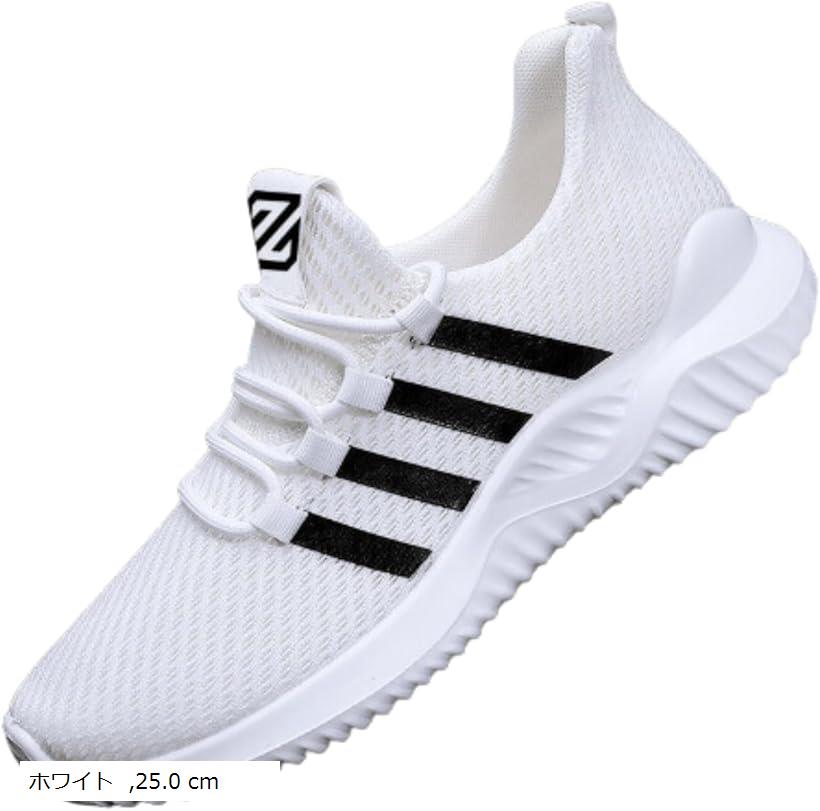 メンズ スニーカー ウォーキング カジュアルシューズ トレーニング 軽量 通気 通勤 通学 素早く履ける 蒸れにくい 滑り止め 歩きやすい ジム (ホワイト, 25.0 cm)