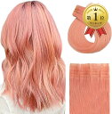 【全品P5倍★ワンダフルデー】 ALISY 人毛 シールエクステ TAPE hair レミーエクステ カラー ウィッグ エクステンション 10本セット (16inch, PINK )