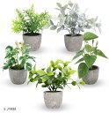卓上フェイクグリーン 観葉植物 造花 インテリア ミニ 光触媒 置物 おしゃれ fake plant green 緑 水やり不要 ギフト(グリーン, 5個セット...