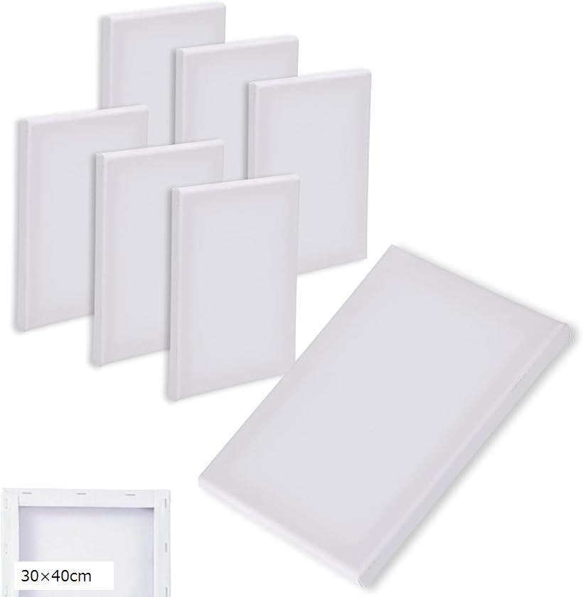 キャンバスボード 6枚セット キャンバスアート 抜きキャンバス ミニ 長方形 画材 絵画 水彩画 油絵 (ホワイト, 30x40cm)(3)