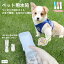 【楽天ランキング1位入賞】ペットウォーターボトル 犬猫 車内で使える 折りたためる 水飲マグ トレーニング ランニング ハンディ 携帯用 散? 水筒 軽量 MDM(ホワイト, M)