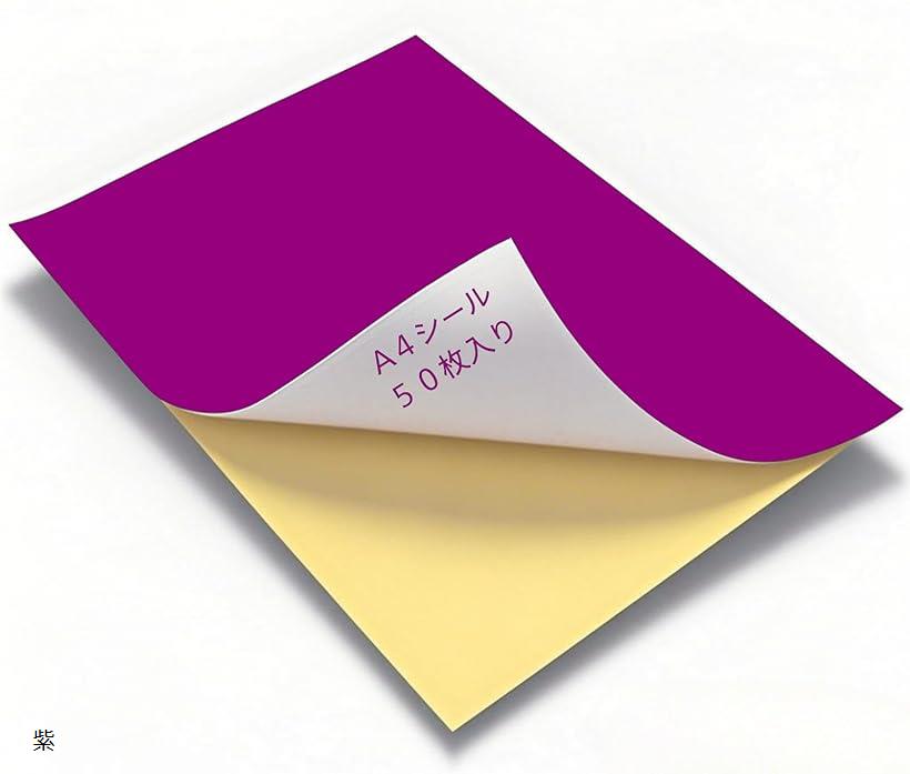 カラーシール A4 シール用紙 ノーカット 光沢 フリーカット 手作り うちわ カラーシート 粘着 お徳用 ..