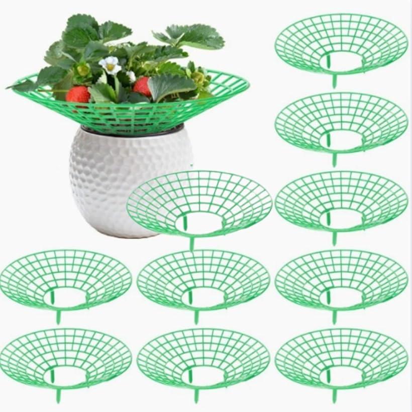 イチゴ苗用支柱セット 10個 栽培用 ストロベリーサポート いちご (グリーン)