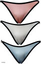 サテンの光沢 シースルー フルバックデザイン レディース ショーツ 3枚セット TYPE B(TYPE B, Free Size)