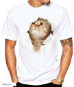 Tシャツ 猫 おもしろ トリックアート カジュアル シンプル ブラウンネコ(NO.2, XL)