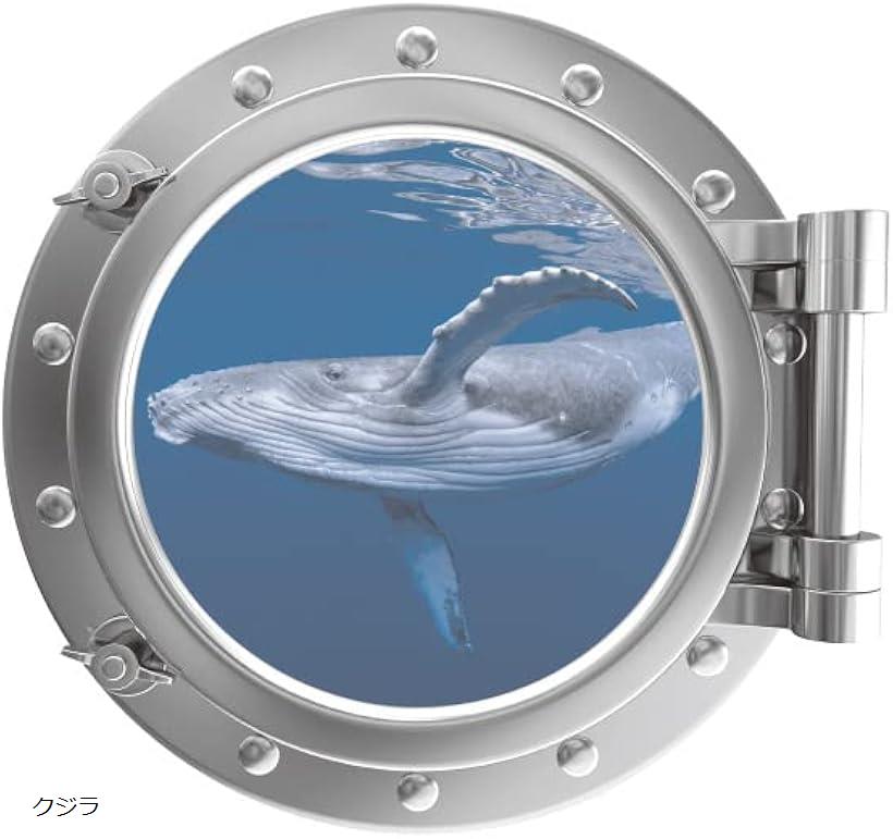 ウォールステッカー 蓄光タイプ おしゃれ 3d カフェ風 子供部屋 トリックアート シール 壁紙シール(クジラ)