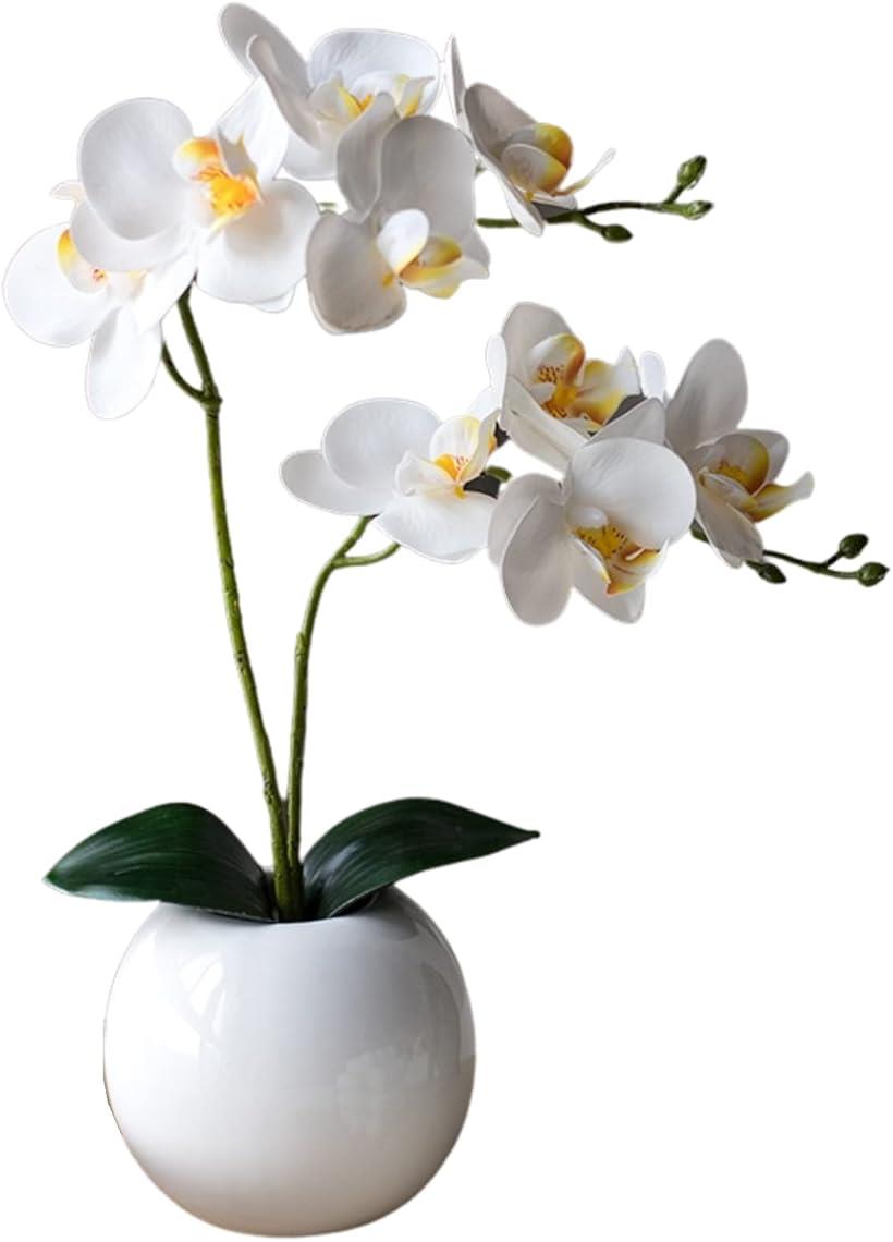 胡蝶蘭 造花 ミニ 鉢植え 観葉植物 フェイクグリーン インテリア ギフト ホワイト 2本立ち 丸鉢 