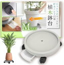 キャスター付き 植木鉢台 鉢受台 フラワースタンド(ホワイト, M)