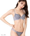 レディース ブラジャー ブラショーツ 上下セット ブラショーツセット ブラジャーショーツセット(グレー, F75)(4)