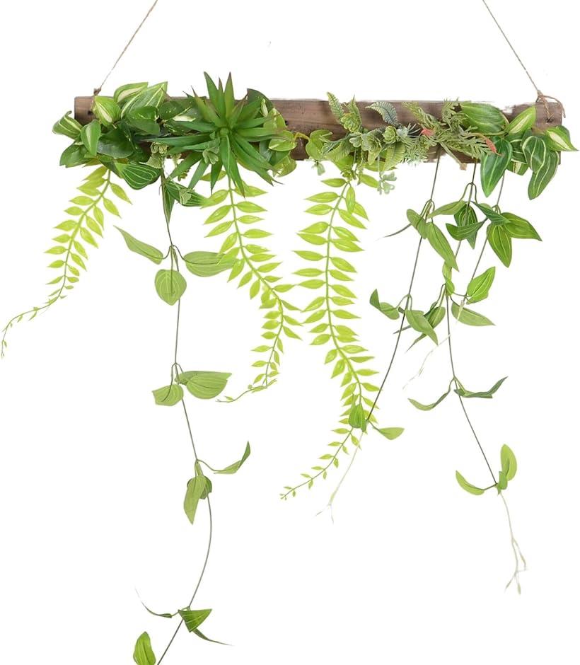 壁掛け 観葉植物 コンシンネ 50cm×40cm フック付き フェイク おしゃれフェイクグリーン ウォールグリーン エアープランツ1パック