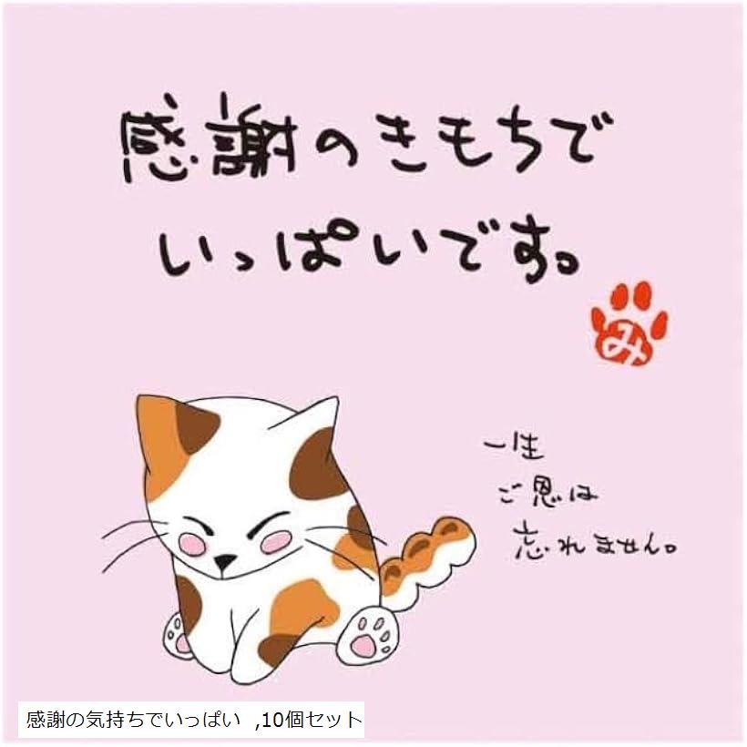 ・みたらしちゃん 一煎用宇治煎茶ティーバッグ/ラッピング付きセット 10個セット 感謝の気持ちでいっぱい (感謝の気持ちでいっぱい, 10個セット)