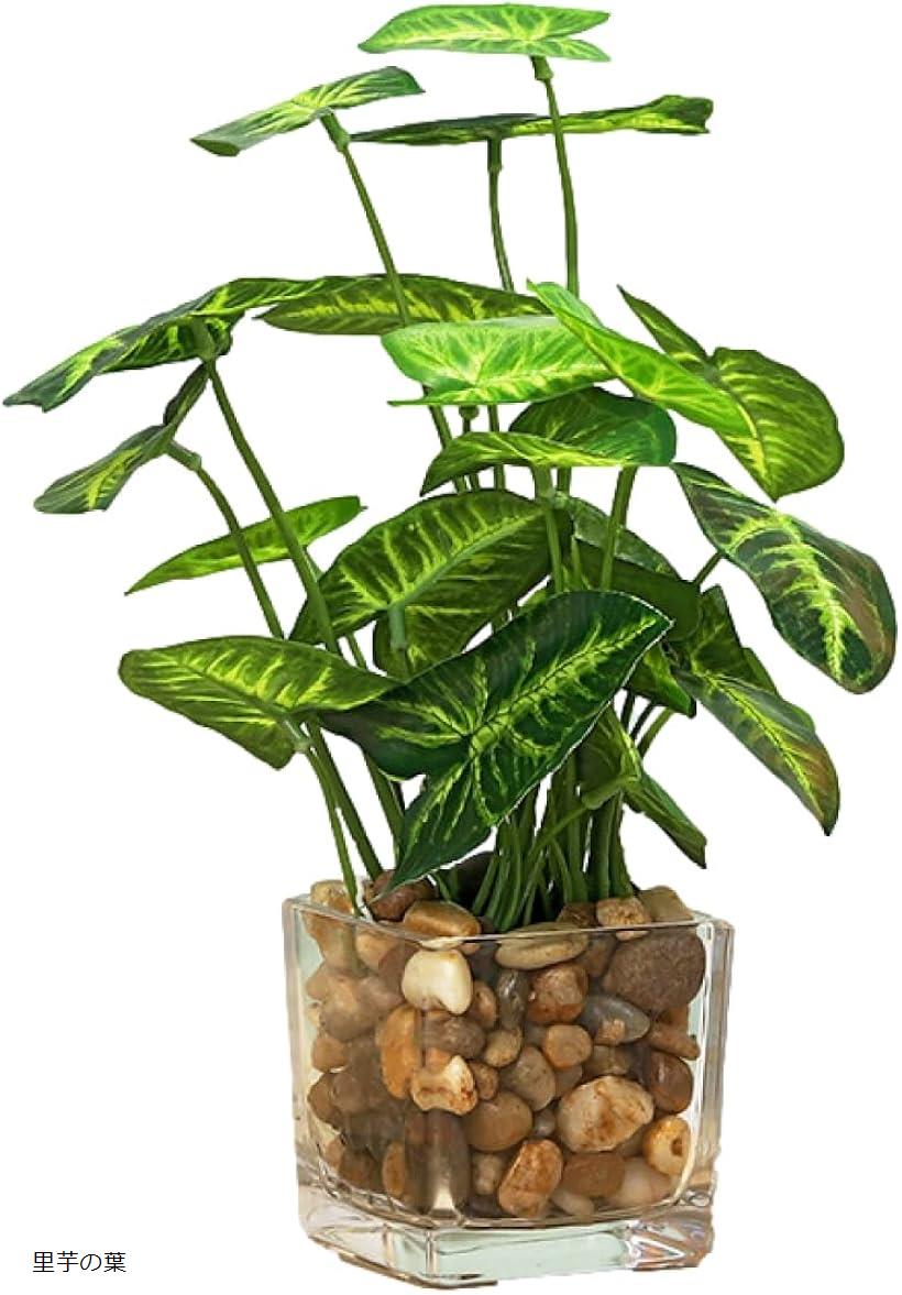 インテリア用フェイクグリーン 常緑樹風 造花 観葉植物 里芋の葉 (グリーン, 普通)