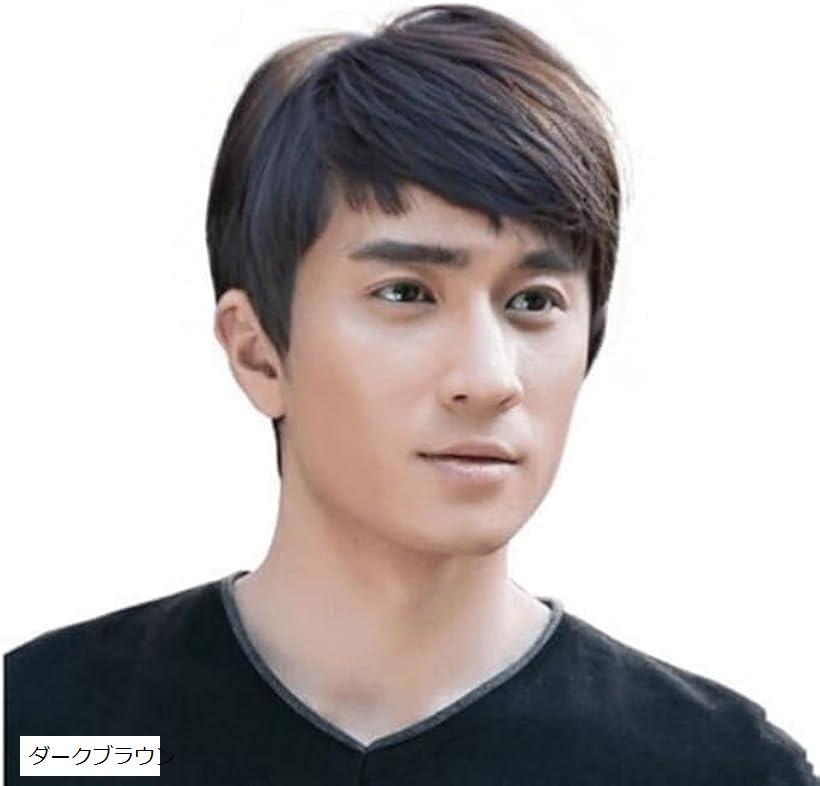 ウィッグ かつら メンズ カツラ ヘアカット 髪用 黒髪 ショート エクステ コスプレ 男装 ウルフ バレない プレゼント 白髪(ダークブラウン)