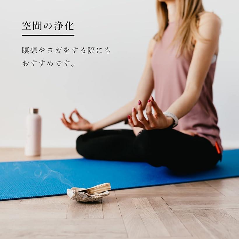 奥野晴明堂 夢しるべ（くちなし）(微煙) 大バラ(160g)