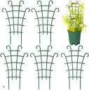 支柱 園芸 トレリス 花支え 植物支柱 園芸用支柱 プランツサポート ガーデニング 6本セット(グリーン)