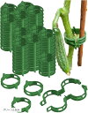 園芸クリップ 誘引クリップ 300個セット プラスチック 植物支柱 野菜 園芸用結束ひも グリーン(グリーン, グリーン2.5cm)