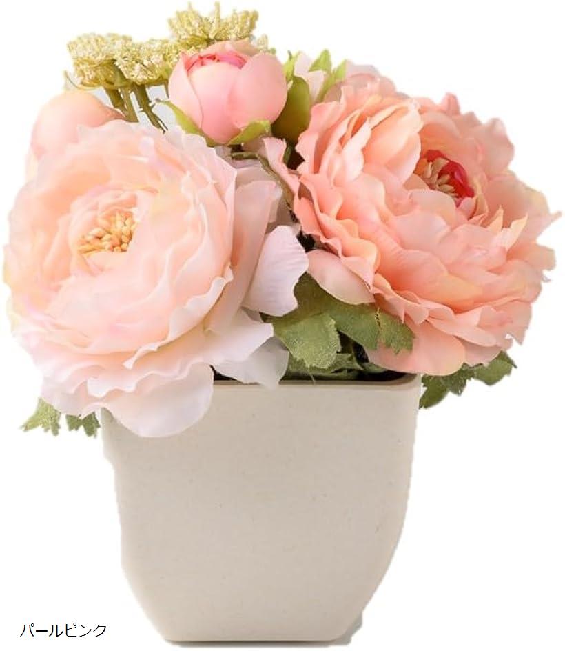 ԥˡ󥸥ݥå ѡԥ ե ץ쥼 ¤ ֤ Τޤ޾ ƥꥢ ץ İ ؽˤ ´Ƚˤ ñۤˤ (ѡ...