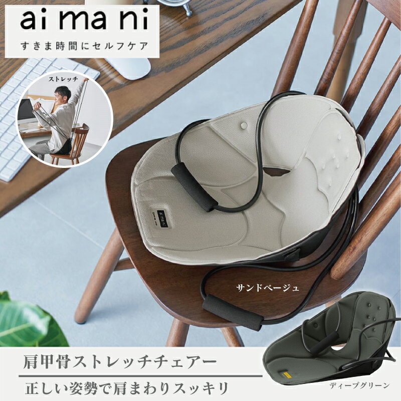 【送料無料】【aimani】肩甲骨ストレッチチェアー KING JIM キングジム 健康 ストレッチ 姿勢 ダイエット ラクラク 腰痛 肩甲骨