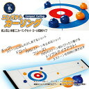 Compact Curling （コンパクトカーリング） パーティー ゲーム　4562351041607