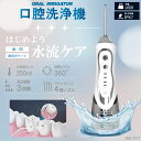 【送料無料】 口腔洗浄器 HDL-9771 歯間 洗浄 口臭 歯周病 虫歯 予防 充電式