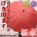 16本骨組 濡れると柄が浮き出る 傘 さくら傘 【傘/パラ...
