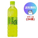 サントリー 緑茶伊右衛門 600ml 24本(1ケース)